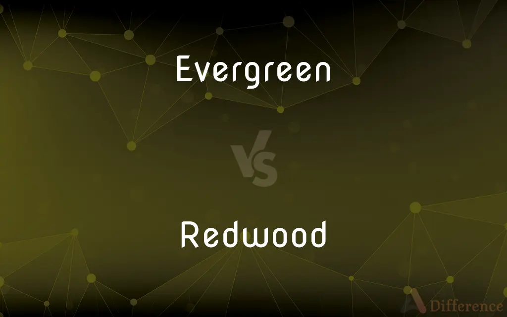Evergreen vs. Redwood — What's the Difference?