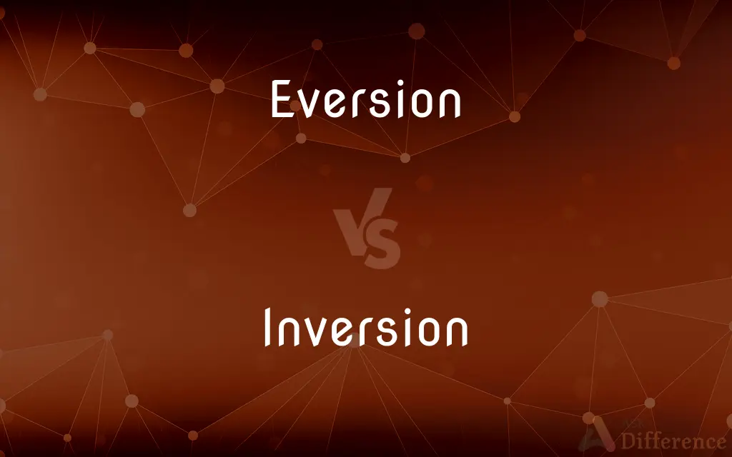 Eversion vs. Inversion — What's the Difference?