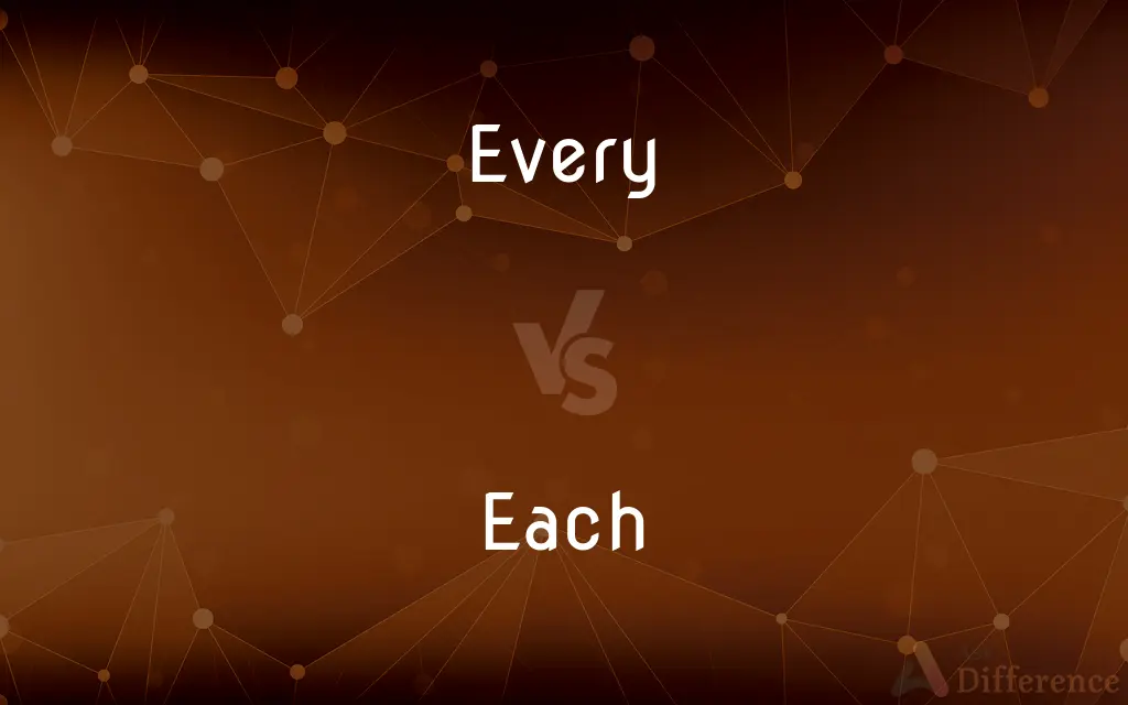 Every vs. Each — What's the Difference?