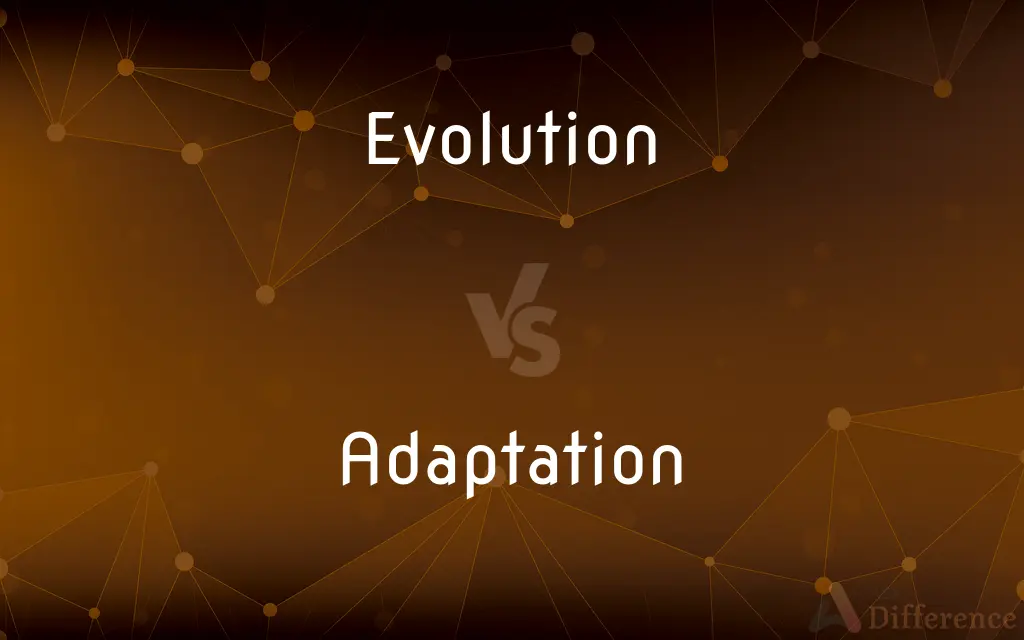 Evolution vs. Adaptation — What's the Difference?