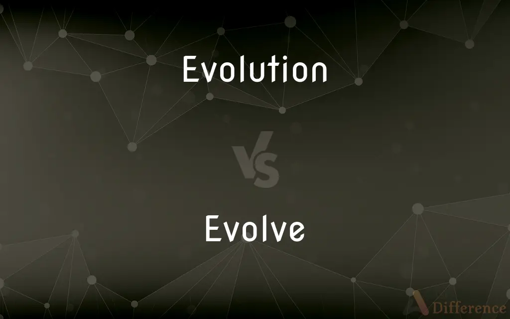 Evolution vs. Evolve — What's the Difference?