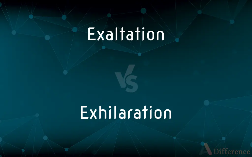 Exaltation vs. Exhilaration — What's the Difference?
