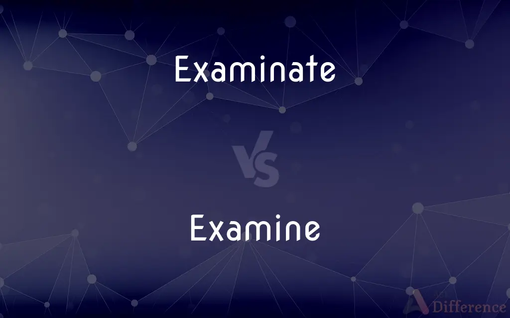 Examinate vs. Examine — Which is Correct Spelling?
