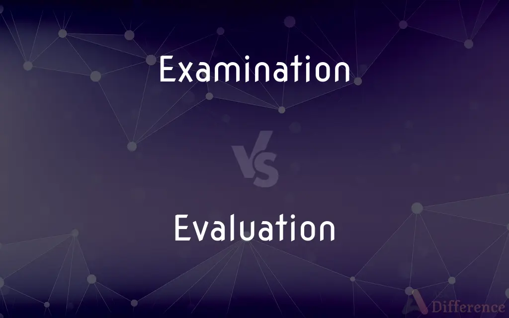 Examination vs. Evaluation — What's the Difference?