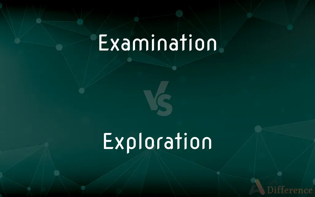 Examination vs. Exploration — What's the Difference?