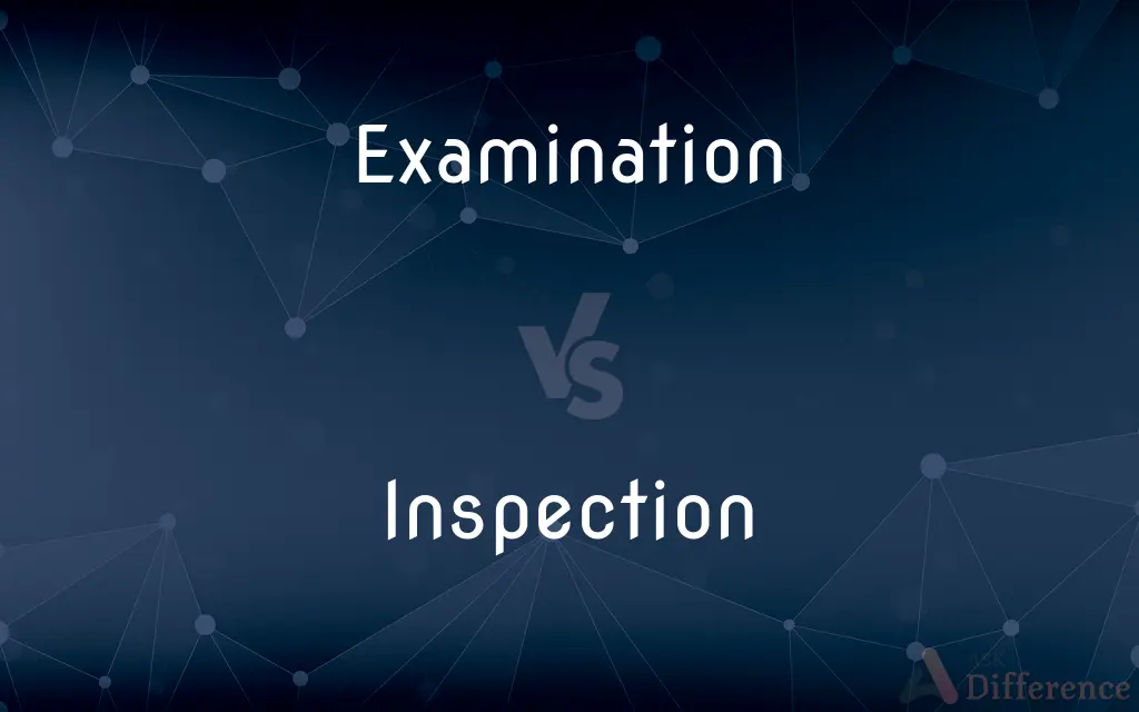 Examination vs. Inspection — What's the Difference?
