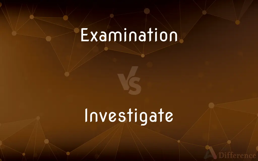 Examination vs. Investigate — What's the Difference?