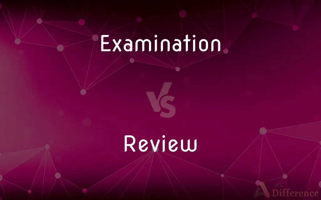 Examination vs. Review — What's the Difference?