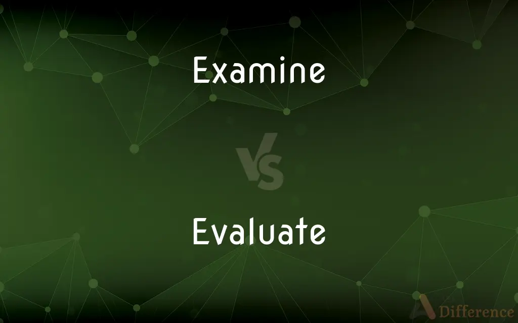 Examine vs. Evaluate — What's the Difference?