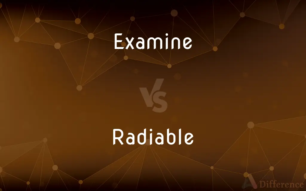 Examine vs. Radiable — What's the Difference?