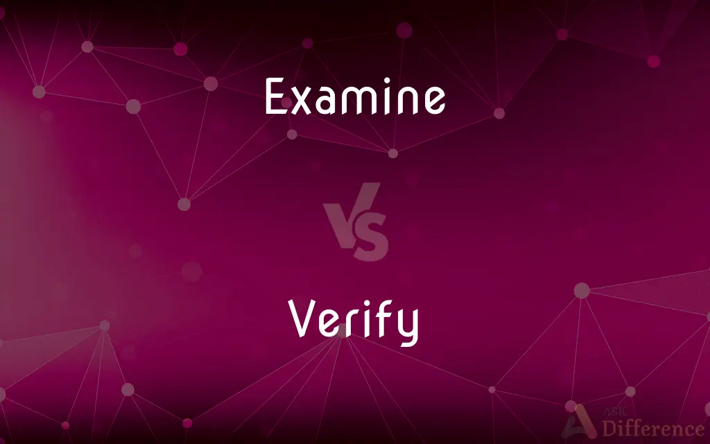 Examine vs. Verify — What's the Difference?
