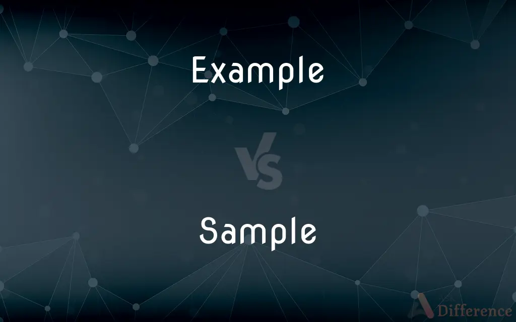 Example vs. Sample — What's the Difference?