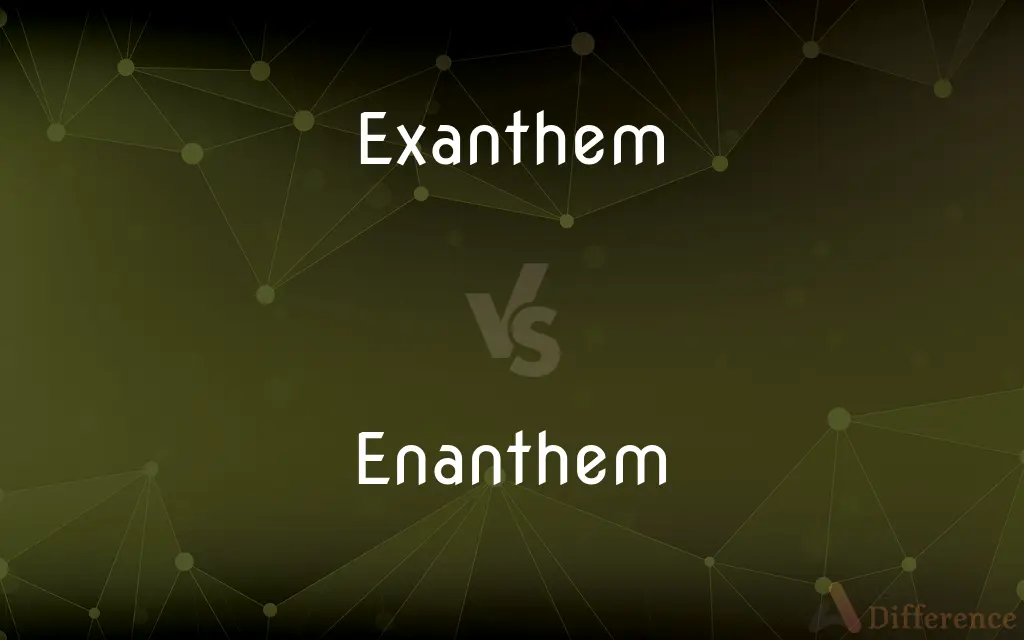 Exanthem vs. Enanthem — What's the Difference?