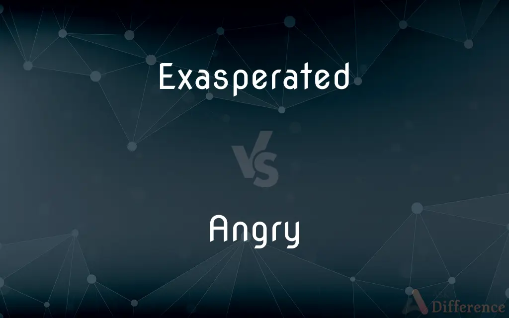 Exasperated vs. Angry — What's the Difference?