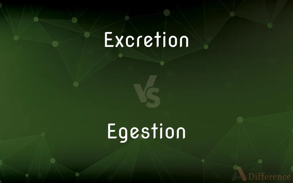 Excretion vs. Egestion — What's the Difference?