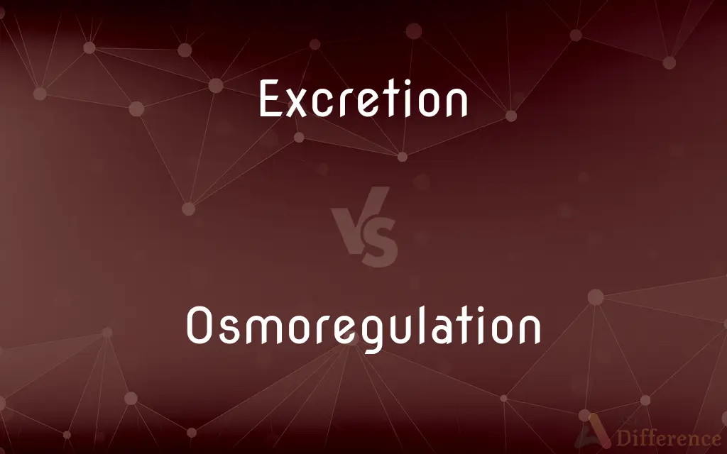 Excretion vs. Osmoregulation — What's the Difference?