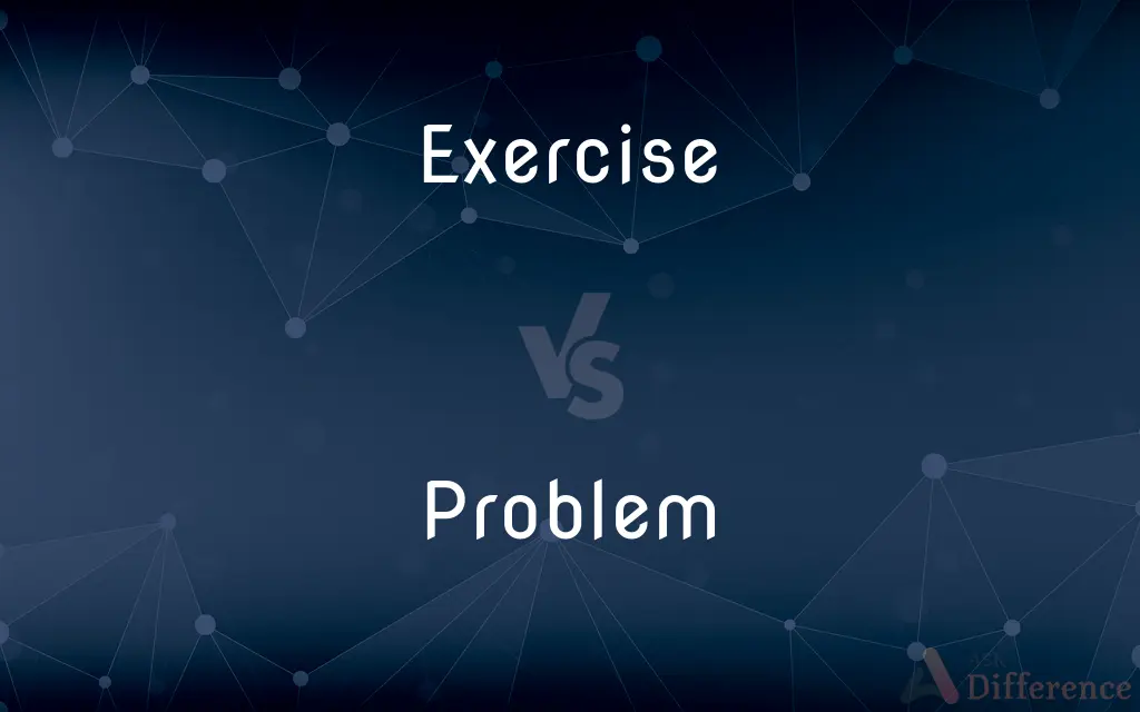 Exercise vs. Problem — What's the Difference?