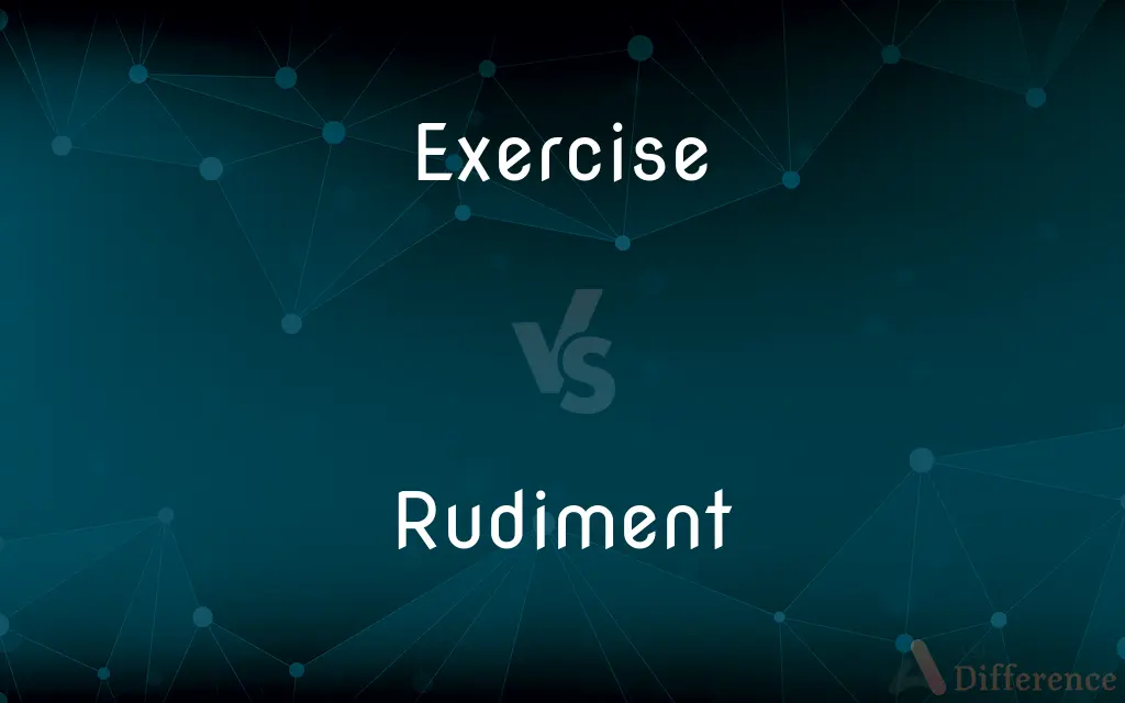 Exercise vs. Rudiment — What's the Difference?
