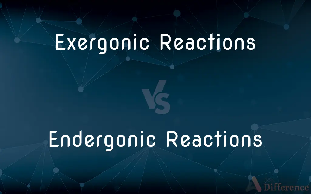 Exergonic Reactions vs. Endergonic Reactions — What's the Difference?