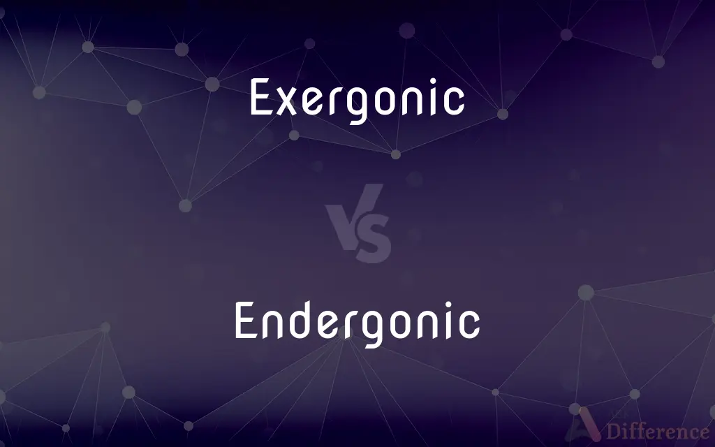 Exergonic vs. Endergonic — What's the Difference?