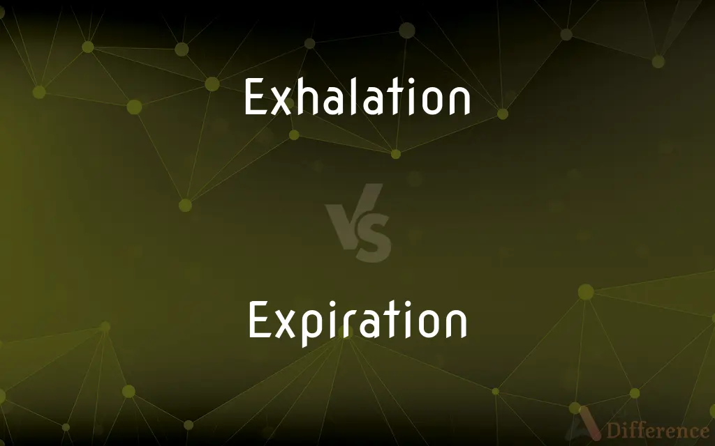 Exhalation vs. Expiration — What's the Difference?