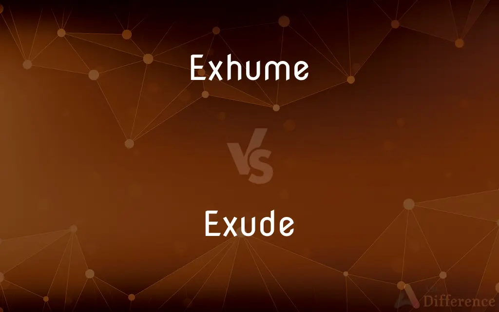 Exhume vs. Exude — What's the Difference?