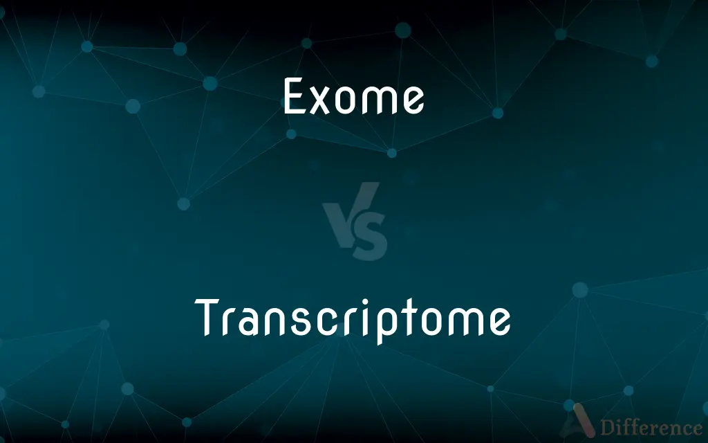 Exome vs. Transcriptome — What's the Difference?