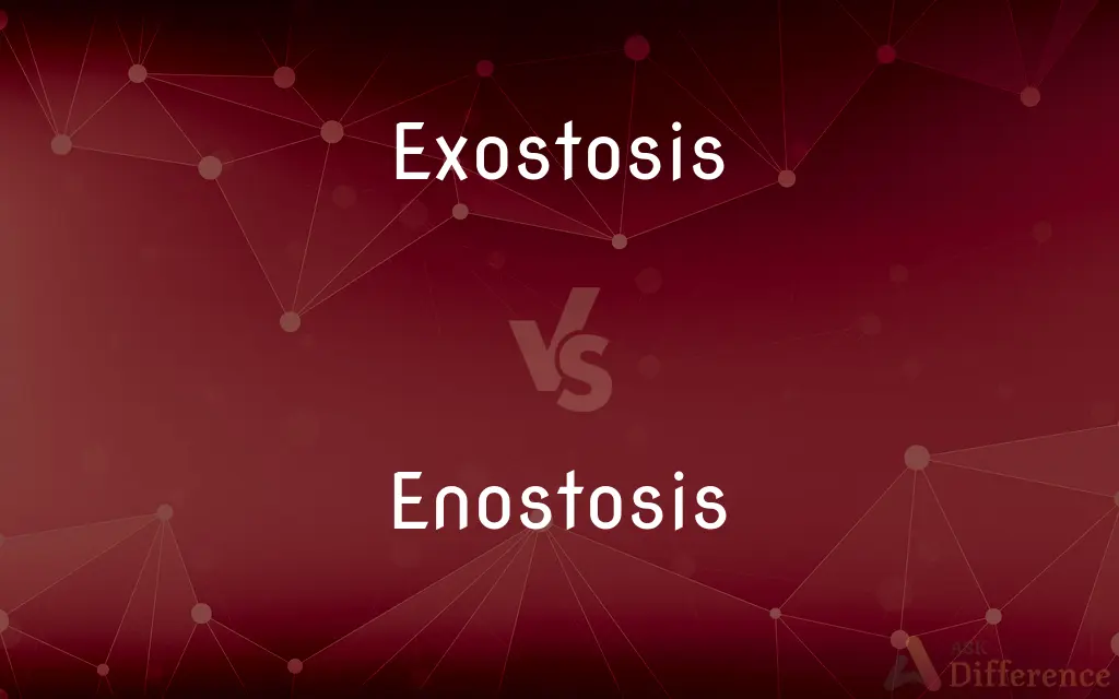 Exostosis vs. Enostosis — What's the Difference?