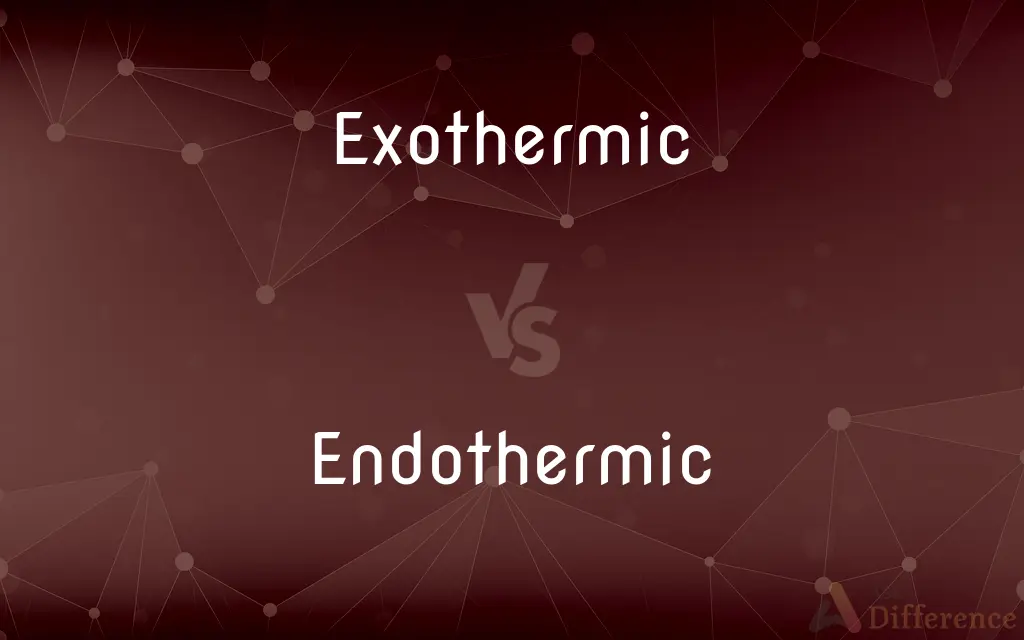 Exothermic vs. Endothermic — What's the Difference?