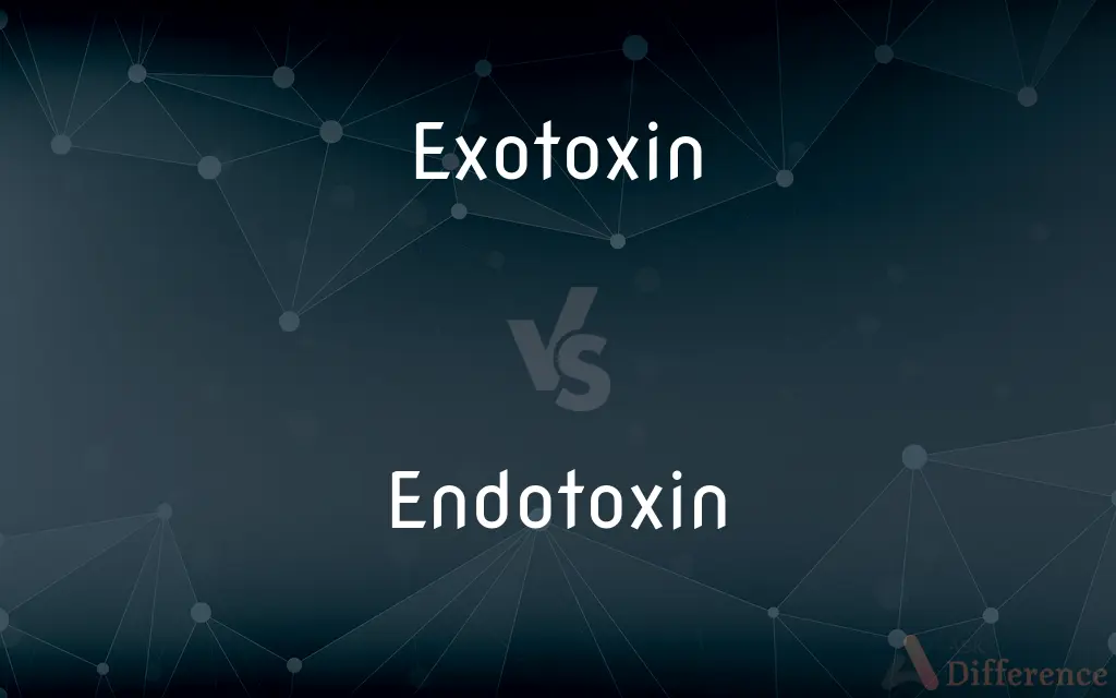 Exotoxin vs. Endotoxin — What's the Difference?