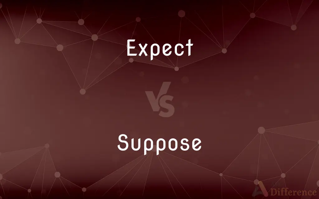 Expect vs. Suppose — What's the Difference?