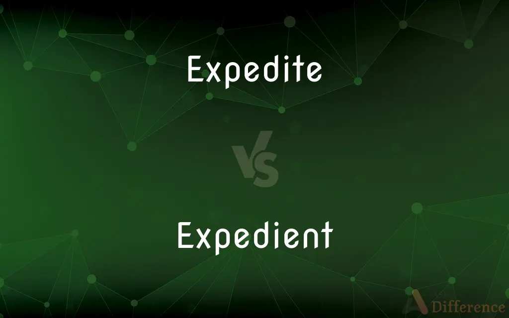 Expedite vs. Expedient — What's the Difference?