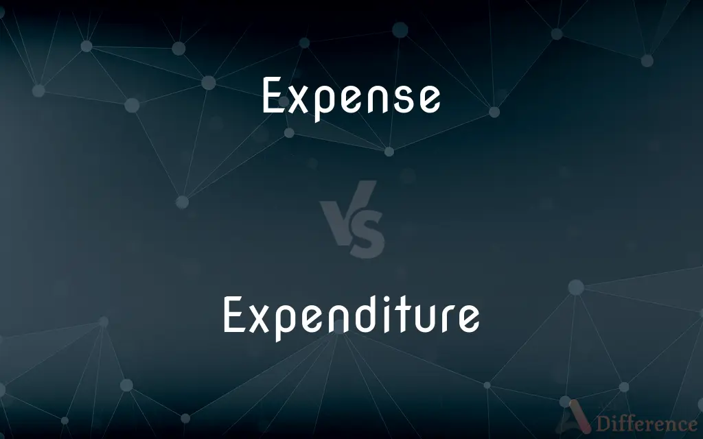 Expense vs. Expenditure — What's the Difference?