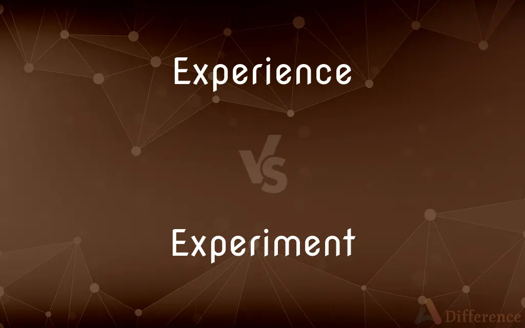 Experience vs. Experiment — What's the Difference?