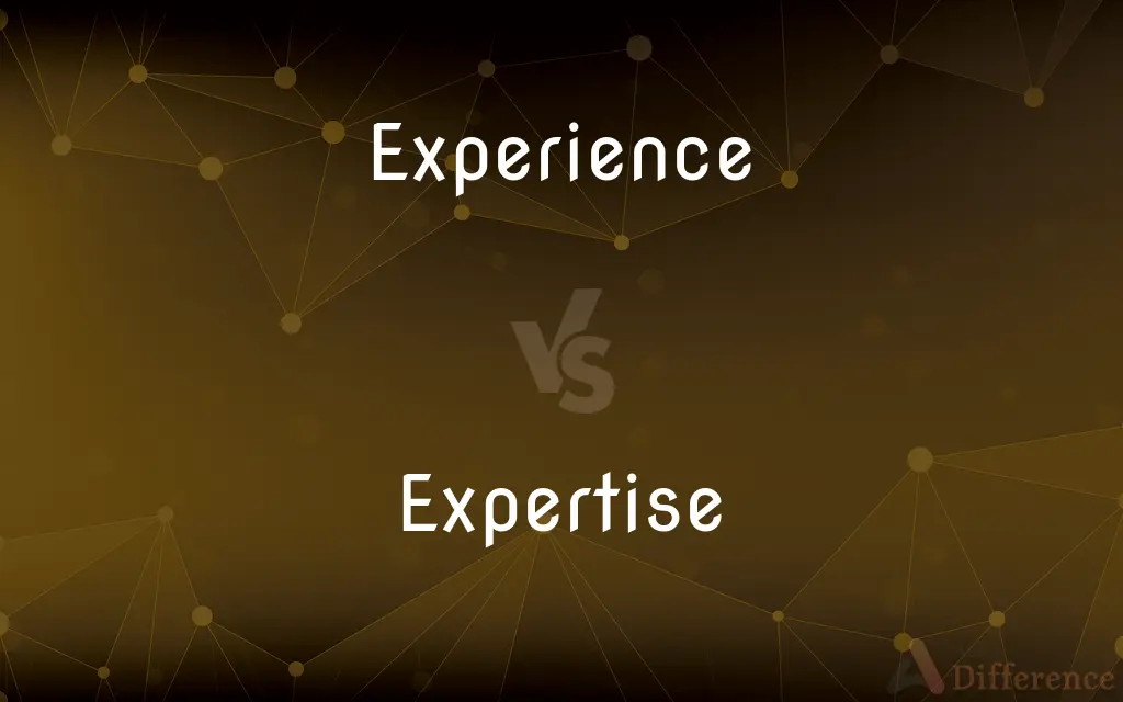Experience vs. Expertise — What's the Difference?