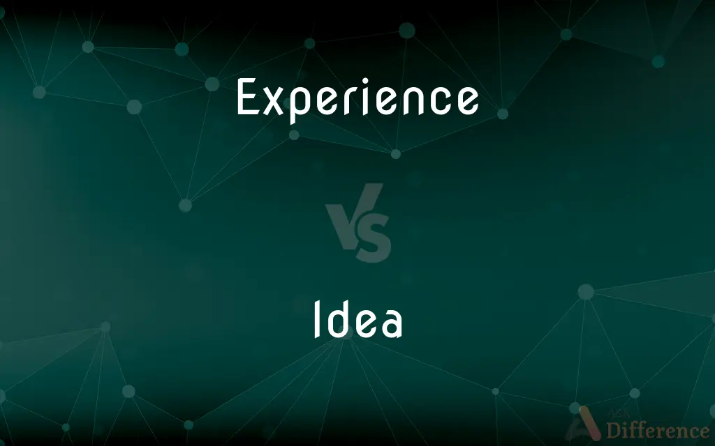 Experience vs. Idea — What's the Difference?