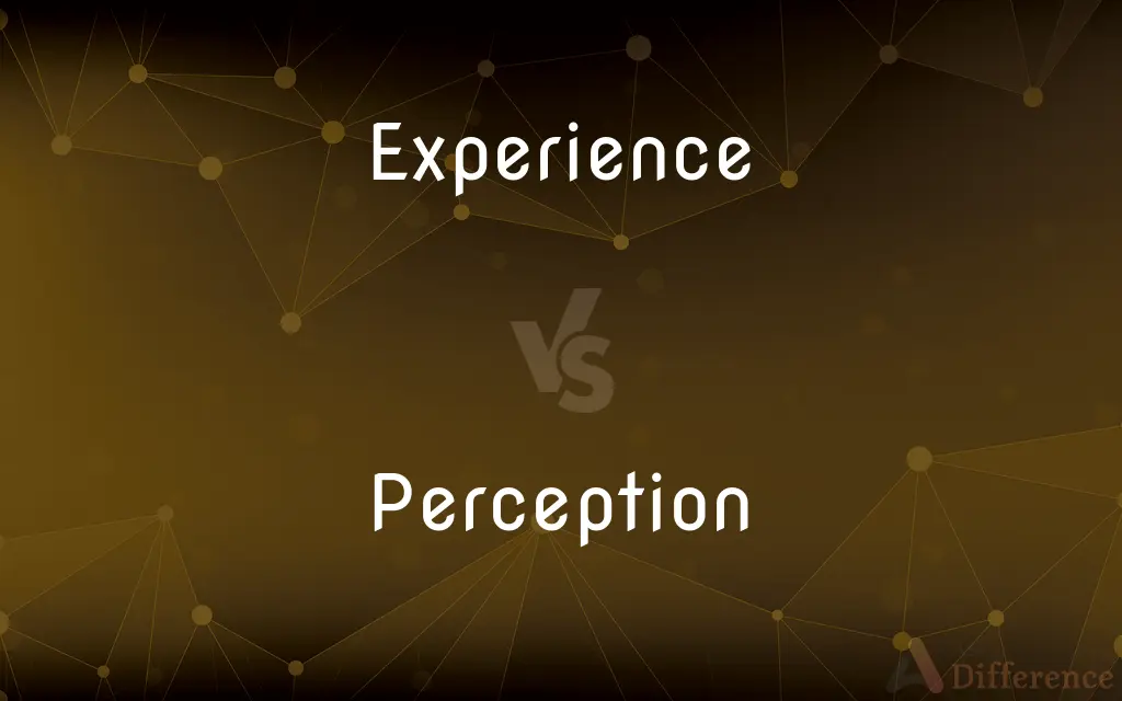 Experience vs. Perception — What's the Difference?
