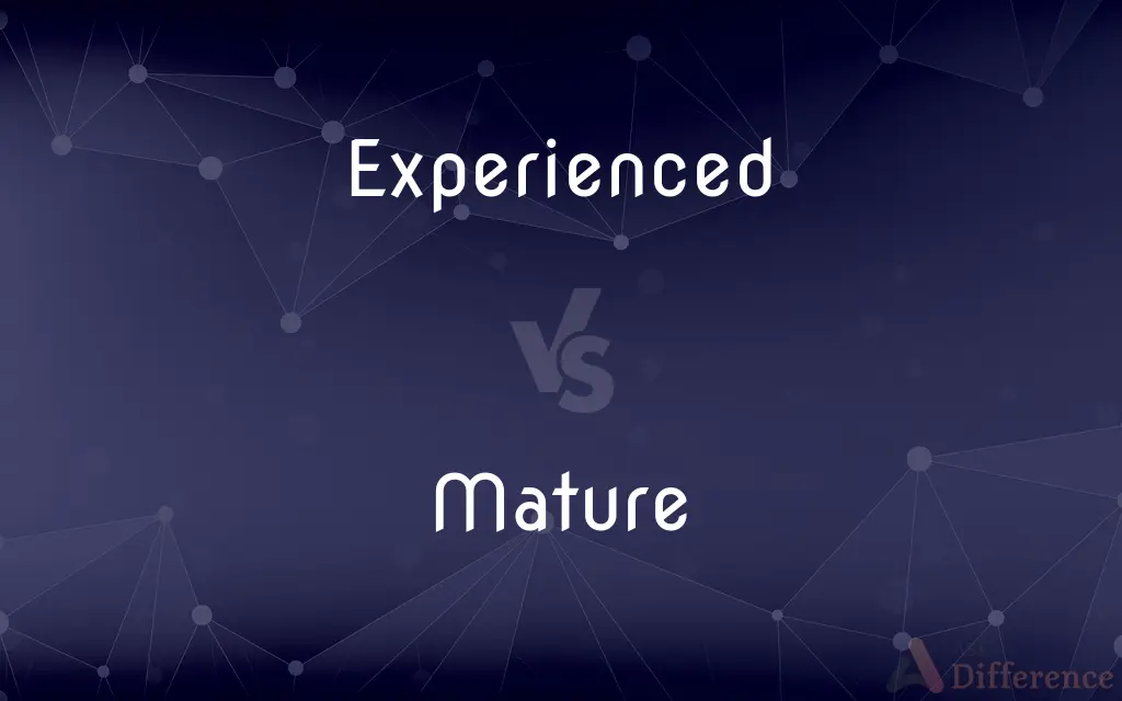 Experienced vs. Mature — What's the Difference?