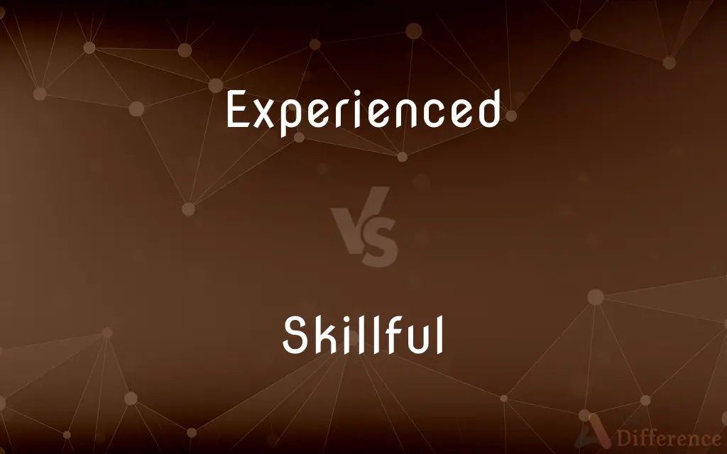 Experienced vs. Skillful — What's the Difference?