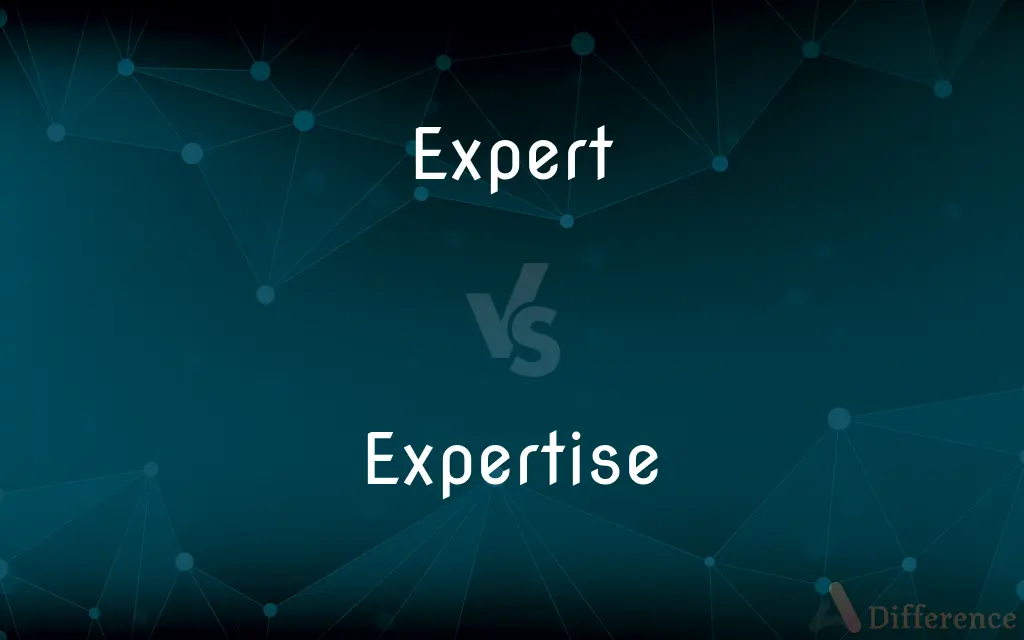 Expert vs. Expertise — What's the Difference?