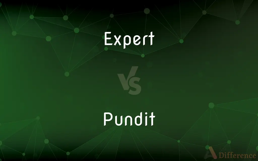 Expert vs. Pundit — What's the Difference?
