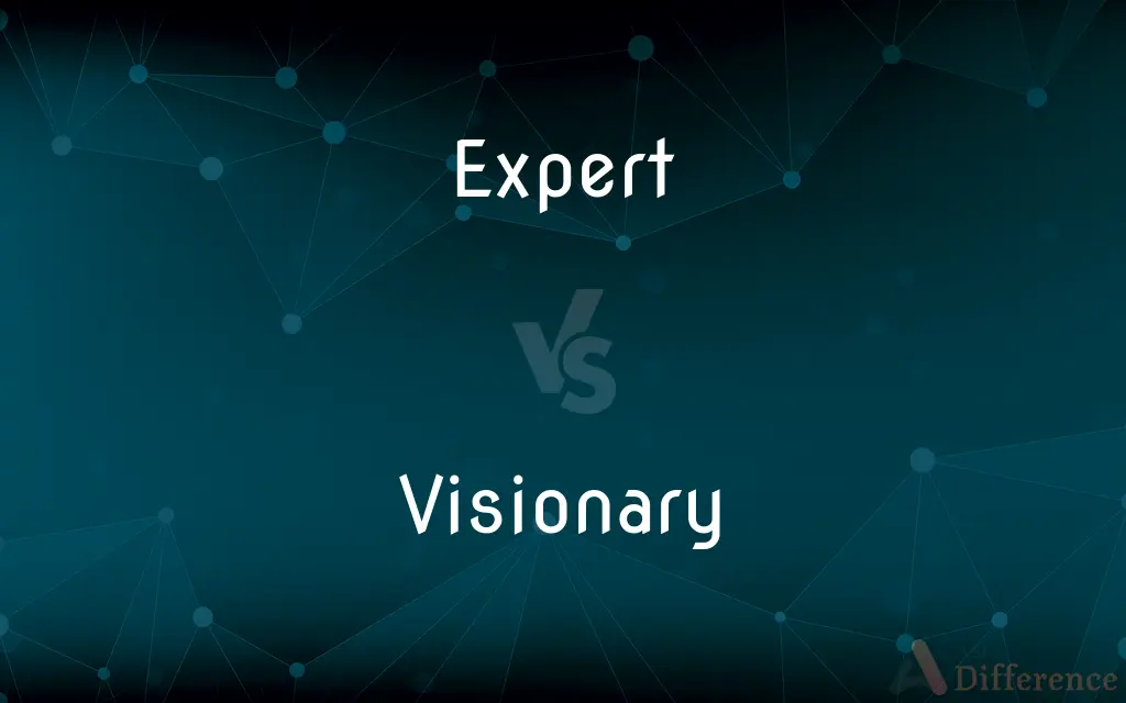 Expert vs. Visionary — What's the Difference?