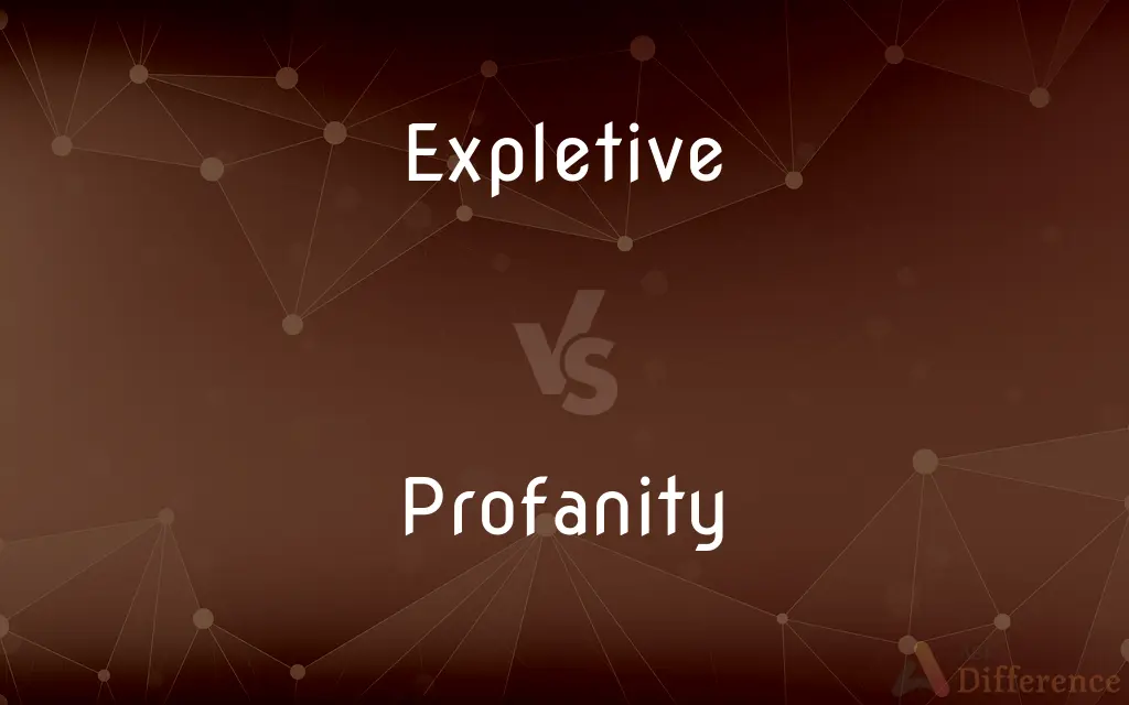 Expletive vs. Profanity — What's the Difference?
