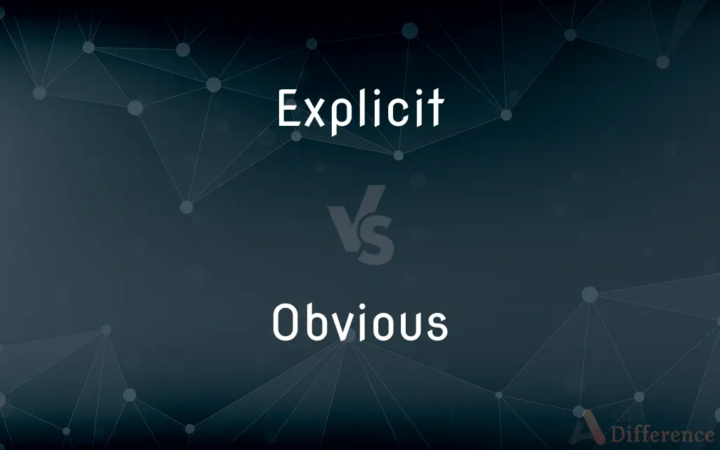 Explicit vs. Obvious — What's the Difference?