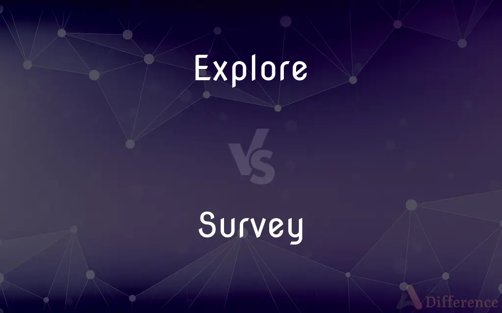 Explore vs. Survey — What's the Difference?