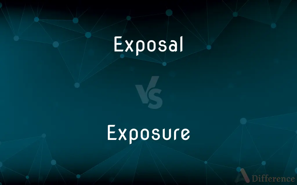 Exposal vs. Exposure — What's the Difference?