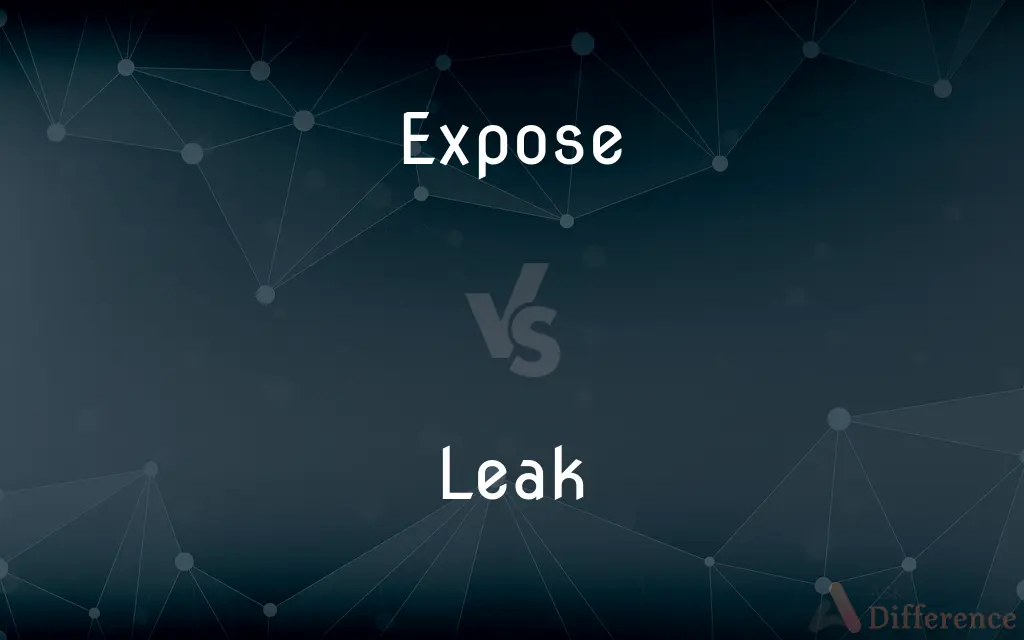 Expose vs. Leak — What's the Difference?