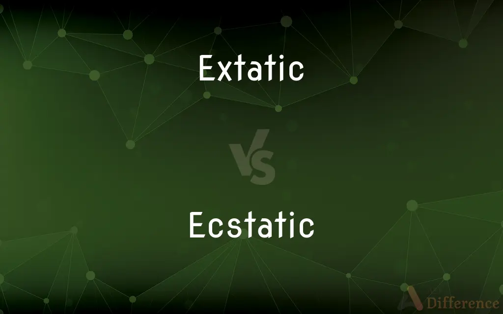 Extatic vs. Ecstatic — What's the Difference?