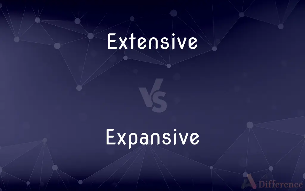 Extensive vs. Expansive — What's the Difference?