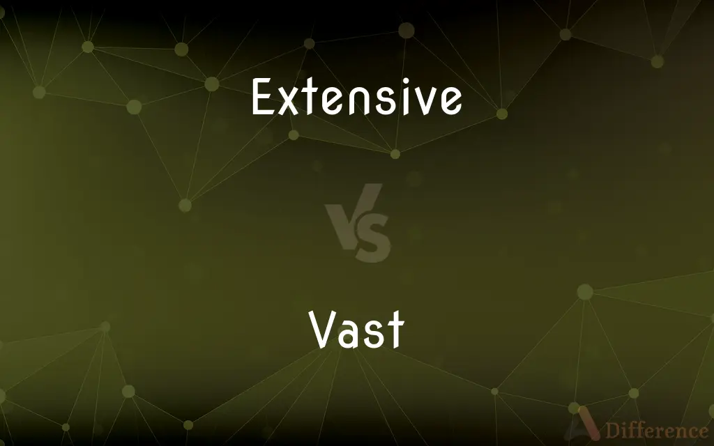 Extensive vs. Vast — What's the Difference?